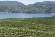 Wenatchee River Whitewater Rafting and Winery Tour thumbnail 4