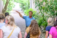 Charleston Walking Tour thumbnail 2