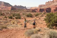 Moab Mountain Bike Tour Half Day thumbnail 2