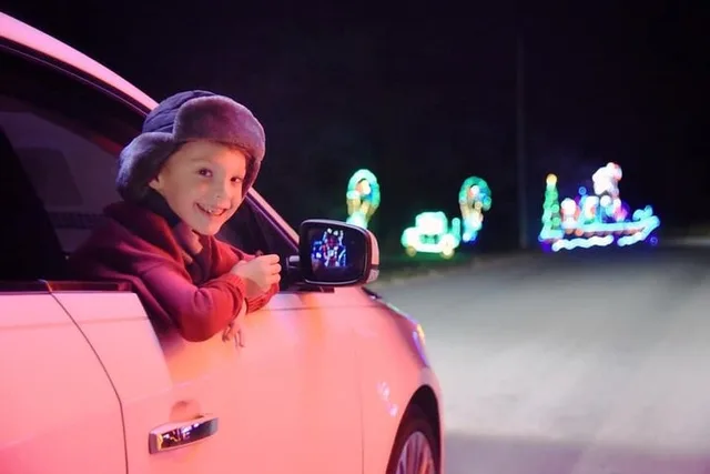 Branson Christmas Light Drive-Thru - Image 1