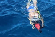Lanai Snorkeling Tour with Sea Scooter thumbnail 2