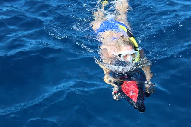 Lanai Snorkeling Tour with Sea Scooter - Image 2