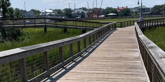 Charleston E-Bike Tour of Low Country and Shores - Image 2