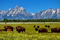 Jackson Hole Side-By-Side Off-Roading Rentals thumbnail 4