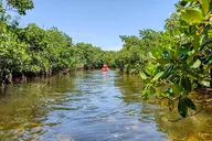 Geiger Key Mangrove Eco-Tour Adventure thumbnail 6