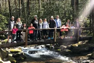Gatlinburg Nature Exploration Tour thumbnail 1