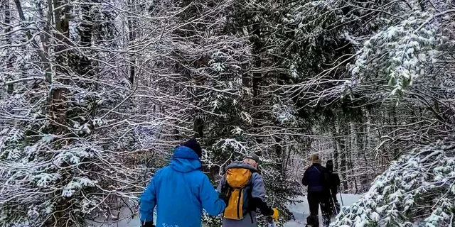 Boston Snowshoe Adventure in Western Massachusetts 8 hr - Image 3