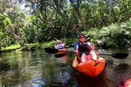 Kailua River Kayak Tour thumbnail 3
