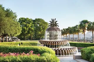 Charleston Food, Wine & History Tour with Cooking Class