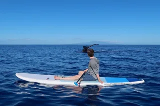 Maui Paddleboard Whale Watch