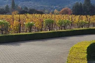 San Francisco Napa and Sonoma Private Wine Tour thumbnail 2