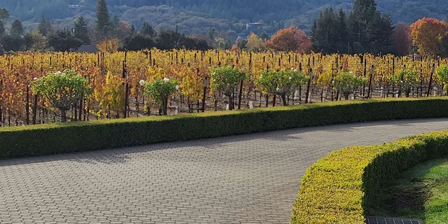 San Francisco Napa and Sonoma Private Wine Tour - Image 2