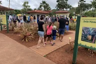 Oahu Private Island Tour thumbnail 6