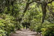Savannah Cemetery and Historic Site Tour thumbnail 3