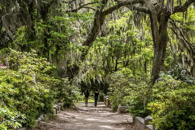 Savannah Cemetery and Historic Site Tour - Image 3