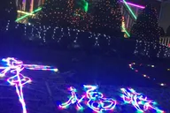 Brooklyn Christmas Walking Tour in French 3.5 hr thumbnail 2
