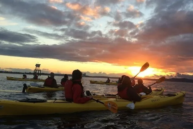 Seattle Sunset Sea Kayak Tour - Image 6