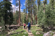Yosemite Half Dome Guided Tour 4 Days thumbnail 6