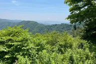 Smoky Mountains Jeep Tour Foothills Parkway thumbnail 6