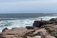 Acadia Private Tour with Local Guide 3 hr thumbnail 1