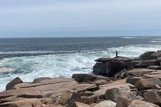 Acadia Private Tour with Local Guide 3 hr