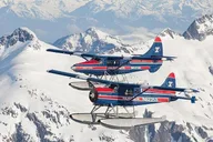 Juneau Bear Viewing Seaplane Tour thumbnail 1