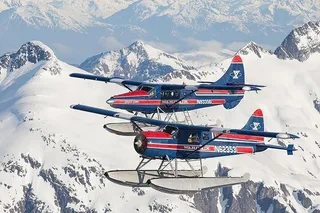 Juneau Bear Viewing Seaplane Tour