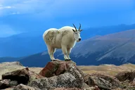 Denver Mount Blue Sky Summit & Red Rocks Tour thumbnail 2