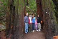 San Francisco Muir Woods & Sausalito Private Tour thumbnail 5