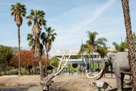 Los Angeles La Brea Tar Pits Museum Ticket thumbnail 1