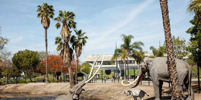 Los Angeles La Brea Tar Pits Museum Ticket - Image 1