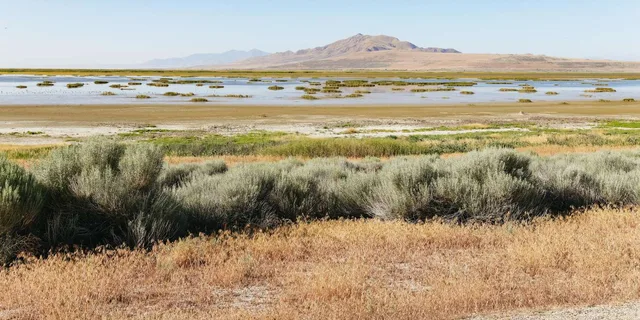 Salt Lake City Great Salt Lake Antelope Island Tour - Image 5