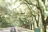 Savannah Vintage Cabriolet Sightseeing Tour 1.5 hr thumbnail 4