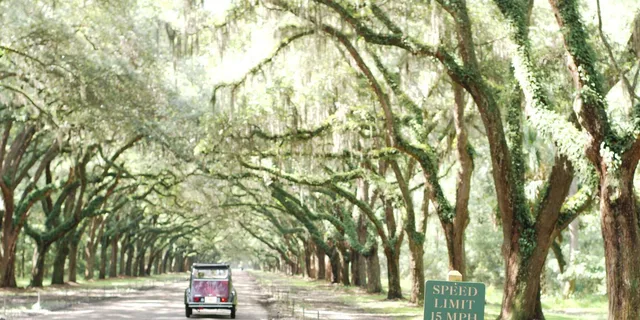 Savannah Vintage Cabriolet Sightseeing Tour 1.5 hr - Image 4