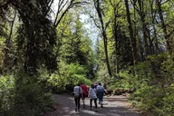 Seattle Wine and Waterfall Day Tour thumbnail 5