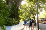 Miami Key West Day Trip with Optional Hotel Pickup thumbnail 6