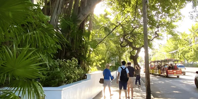 Miami Key West Day Trip with Optional Hotel Pickup - Image 6