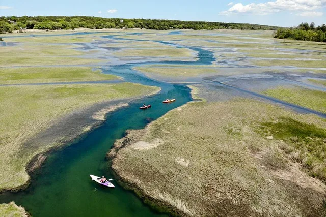 East Sandwich Kayak Tour in the Great Marsh - Image 3