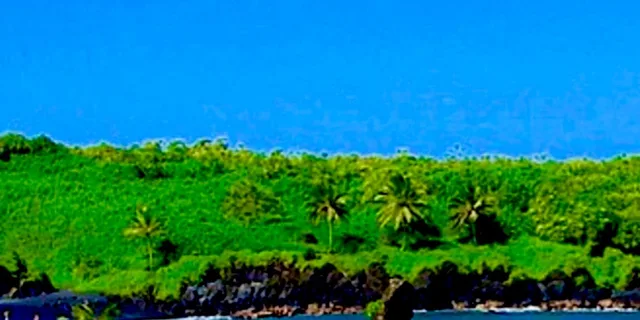 Maui Road to Hāna Sightseeing Tour - Image 2