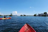 Crystal River Kayak Adventure thumbnail 6