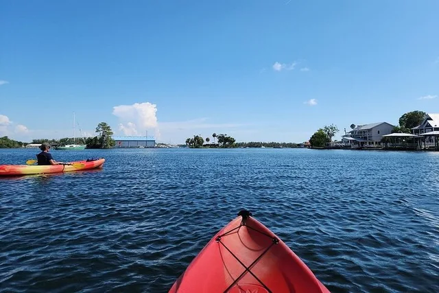Crystal River Kayak Adventure - Image 6