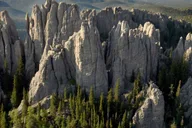 Custer State Park Jeep Safari & Mammoth Site Tour thumbnail 4