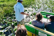 Orlando Florida Everglades Airboat Tour 1.5 hr thumbnail 1