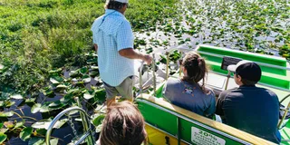 Orlando Florida Everglades Airboat Tour 1.5 hr