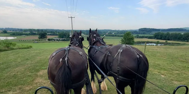 Gettysburg Horse-Drawn Carriage Tour Countryside - Image 1