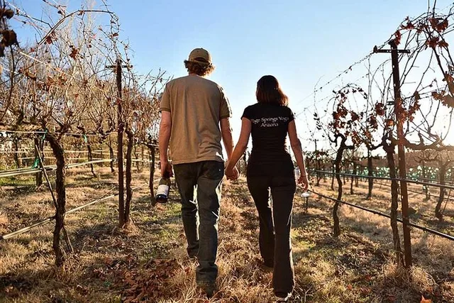 Sedona Wine Tour - Image 6