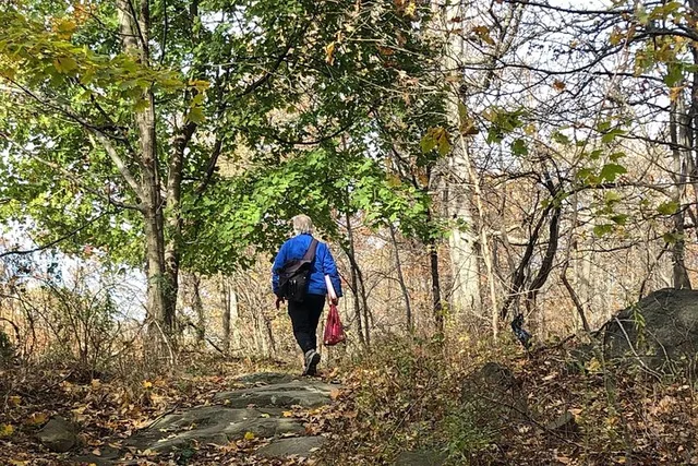 New York City George Washington Bridge and Palisades Hike - Image 4