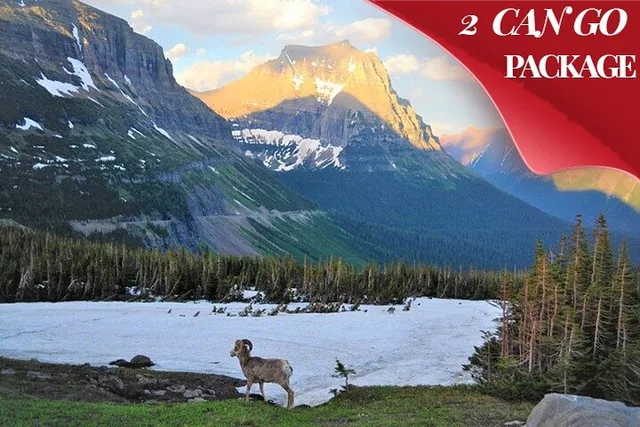 Grand Teton, Yellowstone, and Glacier National Parks Tour - Image 1
