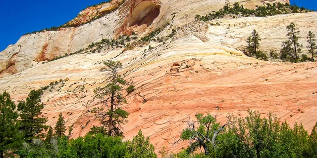Las Vegas Grand Canyon and Zion National Park Tour - Image 6