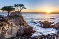 Monterey, Carmel and 17-Mile Drive Tour from San Francisco thumbnail 2